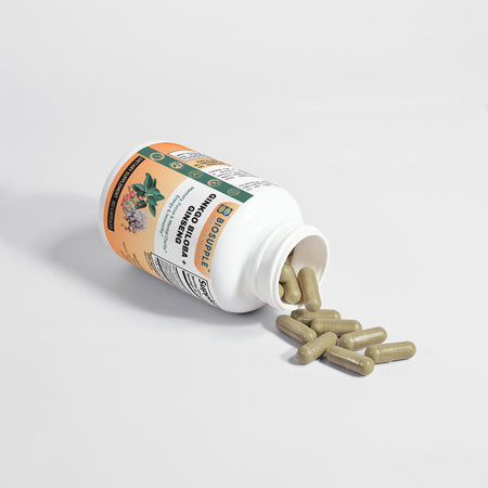 ginko biloba, ginseng mushroom dietary supplement, memory, focus and mental clarity, energy and immunity, Biosupple, USA